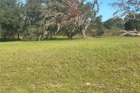 Land in Clermont, Florida № 1433890 - photo 10