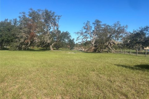 Land in Clermont, Florida № 1433890 - photo 6