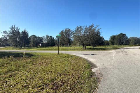 Land in Clermont, Florida № 1433890 - photo 5