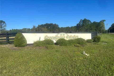 Land in Clermont, Florida № 1433890 - photo 2