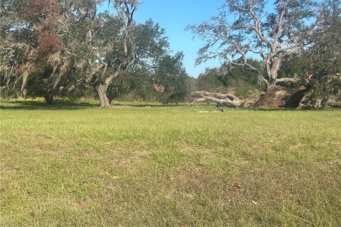 Land in Clermont, Florida № 1433890 - photo 7