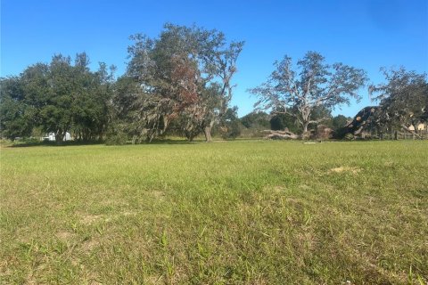 Land in Clermont, Florida № 1433890 - photo 9