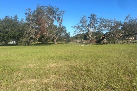 Land in Clermont, Florida № 1433890 - photo 8
