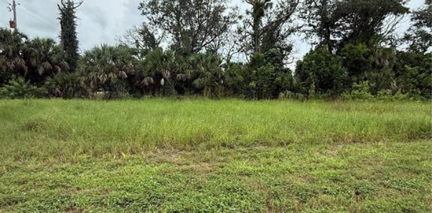 Terrain à Englewood, Floride № 1905414