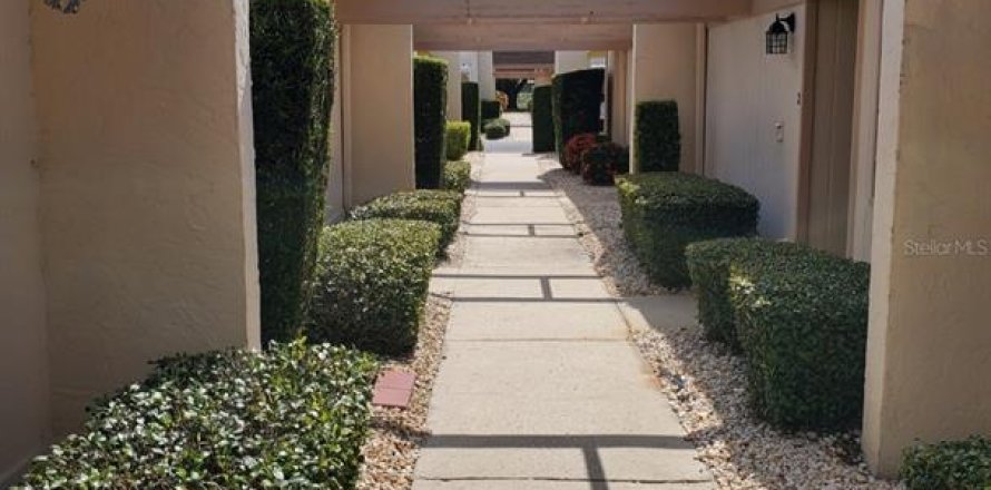 Condo à Port Richey, Floride, 1 chambre № 1915459