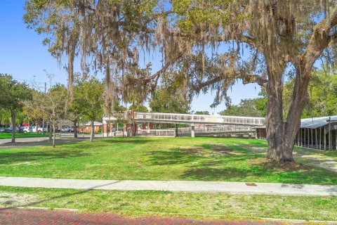 Land in Apopka, Florida № 2235194 - photo 14