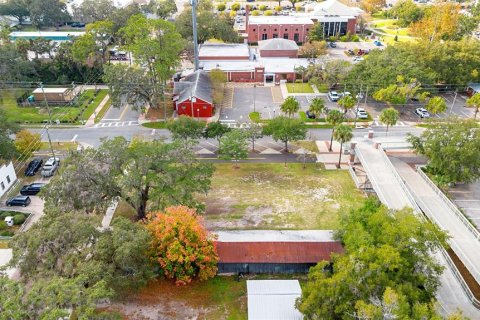 Land in Apopka, Florida № 2235194 - photo 4