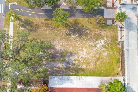 Land in Apopka, Florida № 2235194 - photo 7