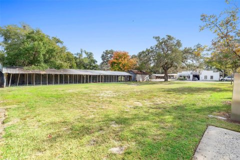 Land in Apopka, Florida № 2235194 - photo 19