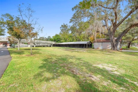 Land in Apopka, Florida № 2235194 - photo 17