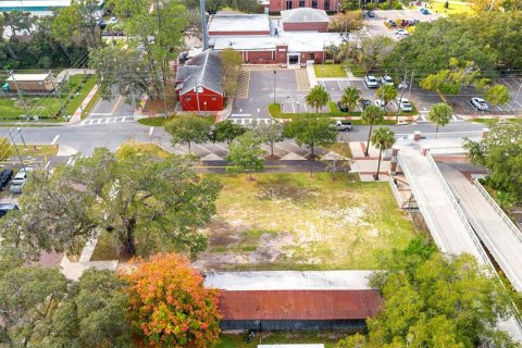 Land in Apopka, Florida № 2235194 - photo 5