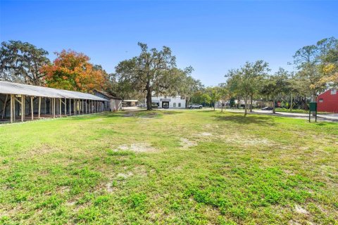 Land in Apopka, Florida № 2235194 - photo 3