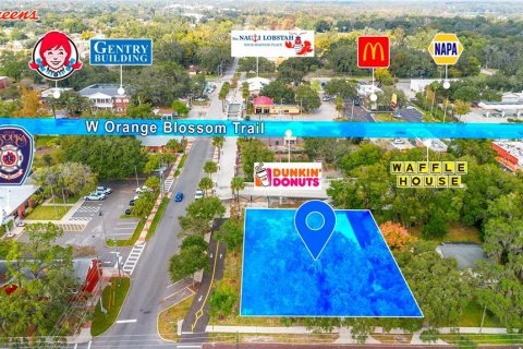 Land in Apopka, Florida № 2235194