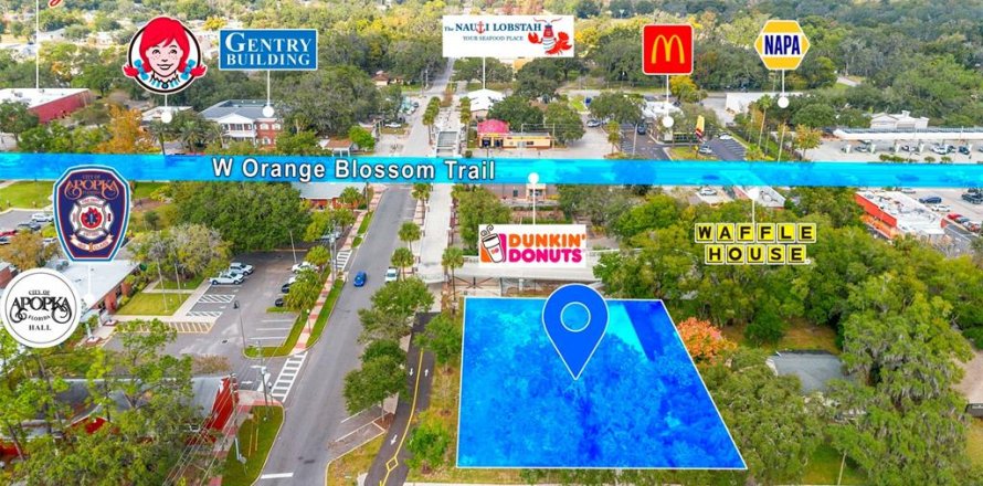 Land in Apopka, Florida № 2235194