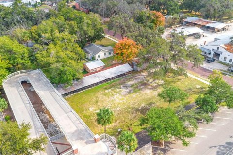 Land in Apopka, Florida № 2235194 - photo 8