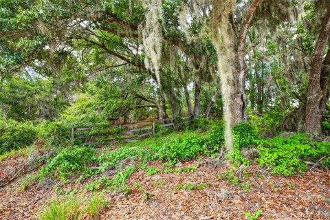 Land in Ocklawaha, Florida № 2196390 - photo 2