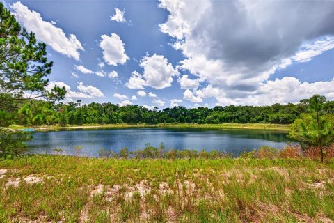 Terreno en Ocklawaha, Florida № 2196390