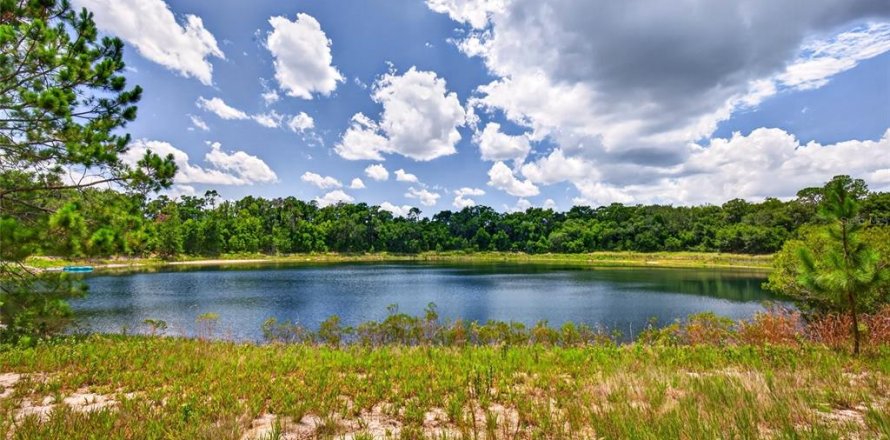Land in Ocklawaha, Florida № 2196390