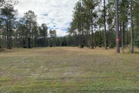 Land in Jacksonville, Florida № 826896 - photo 1