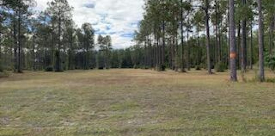 Terrain à Jacksonville, Floride № 826896