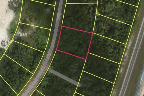 Land in Ocklawaha, Florida № 2161465