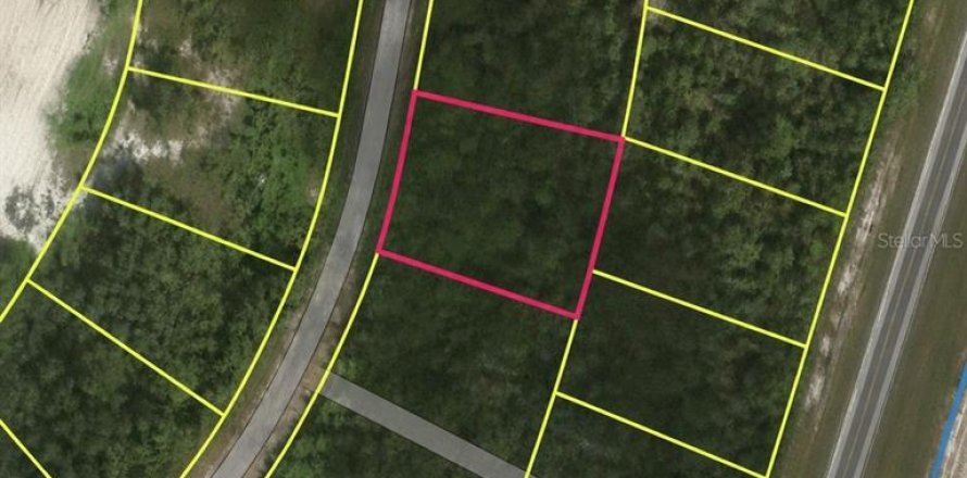 Land in Ocklawaha, Florida № 2161465