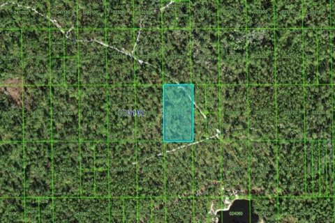 Land in Lake Wales, Florida № 2162270