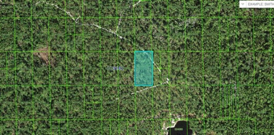 Land in Lake Wales, Florida № 2162270
