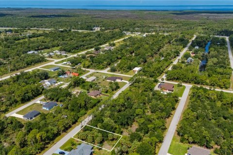 Land in Punta Gorda, Florida № 2233589 - photo 7