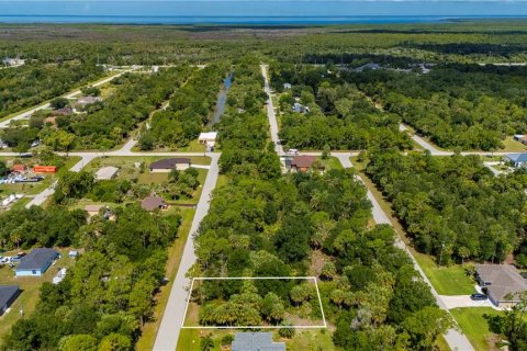 Land in Punta Gorda, Florida № 2233589 - photo 5