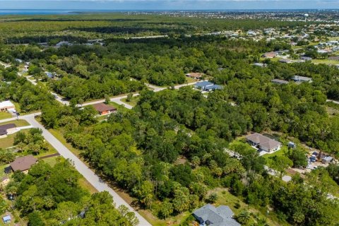 Land in Punta Gorda, Florida № 2233589 - photo 4