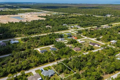 Land in Punta Gorda, Florida № 2233589 - photo 9