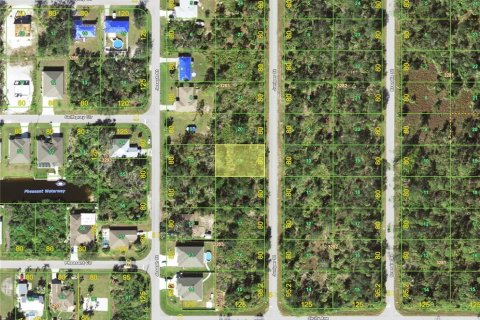 Land in Port Charlotte, Florida № 2159221 - photo 2