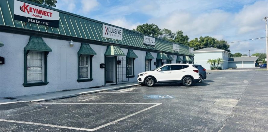 Immobilier commercial à Tampa, Floride 604.52 m2 № 1363776