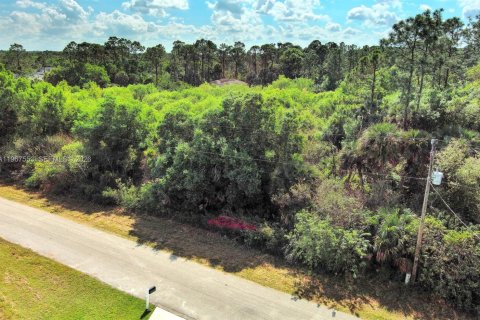 Land in Lehigh Acres, Florida № 2158666 - photo 3