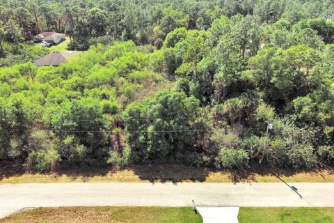 Land in Lehigh Acres, Florida № 2158666 - photo 6