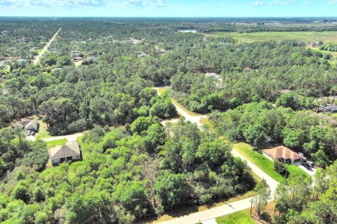 Land in Lehigh Acres, Florida № 2158666 - photo 9