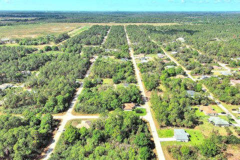 Land in Lehigh Acres, Florida № 2158666 - photo 14
