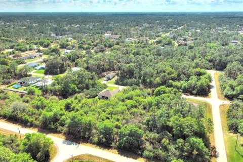 Land in Lehigh Acres, Florida № 2158666 - photo 12