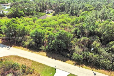 Land in Lehigh Acres, Florida № 2158666 - photo 5
