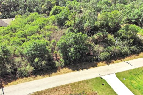 Land in Lehigh Acres, Florida № 2158666 - photo 8