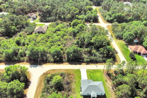 Land in Lehigh Acres, Florida № 2158666 - photo 11
