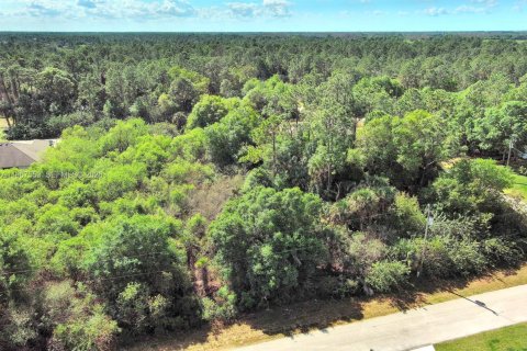 Land in Lehigh Acres, Florida № 2158666 - photo 7