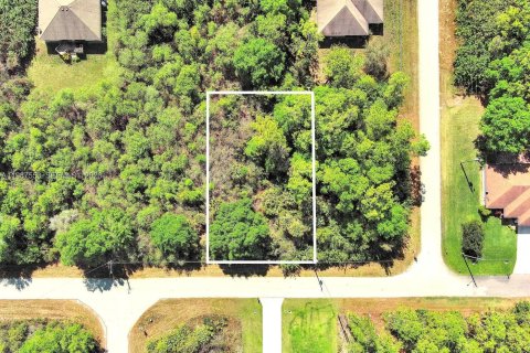 Land in Lehigh Acres, Florida № 2158666