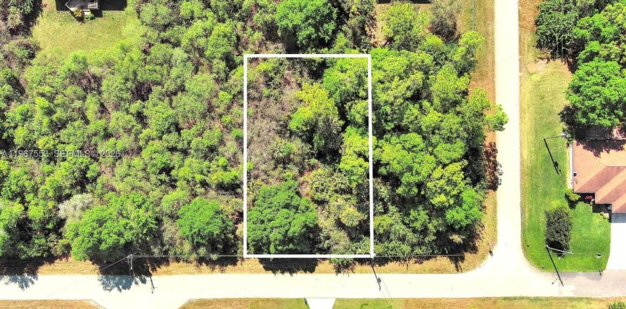 Land in Lehigh Acres, Florida № 2158666