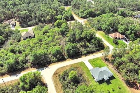Land in Lehigh Acres, Florida № 2158666 - photo 10