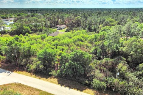 Land in Lehigh Acres, Florida № 2158666 - photo 4
