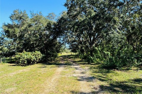 Land in Sebring, Florida № 1801546 - photo 5