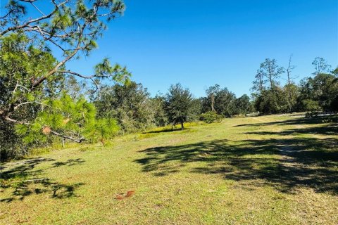 Land in Sebring, Florida № 1801546 - photo 7