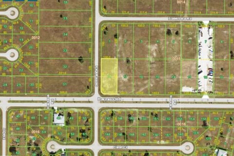 Land in Placida, Florida № 1732760 - photo 2